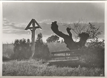 Fotograf: Hickstein, Carmen, Copyright: 1