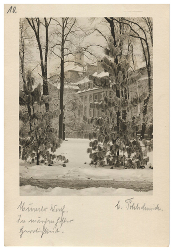 Fotograf: Hickstein, Carmen, Copyright: 1