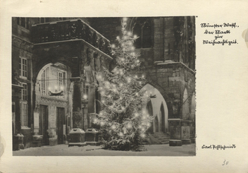 Fotograf: Hickstein, Carmen, Copyright: 1