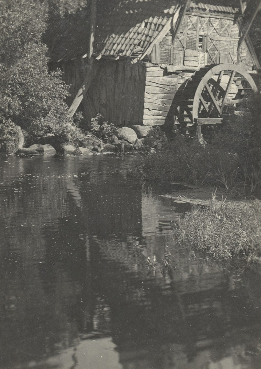 Photographer: Hickstein, Carmen, Copyright: 1