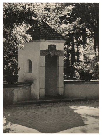 Fotograf: Hickstein, Carmen, Copyright: 1