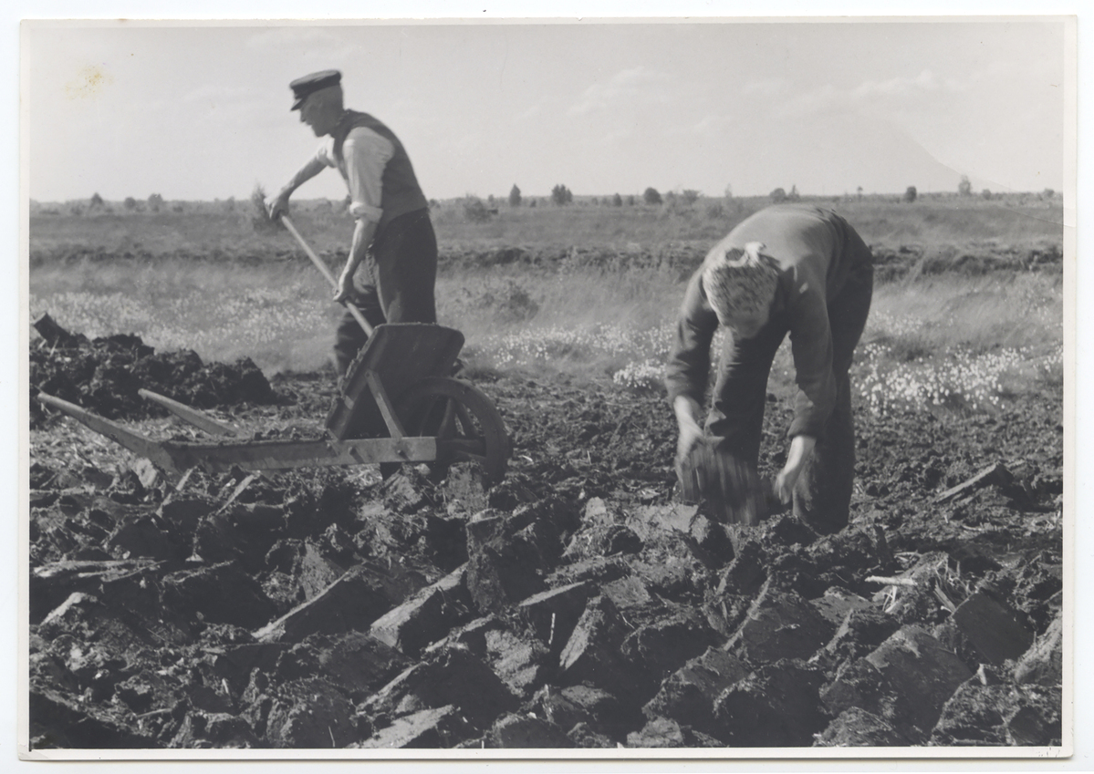 Fotograf: Hickstein, Carmen, Copyright: 1