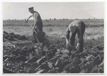 Fotograf: Hickstein, Carmen, Copyright: 1