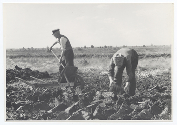 Fotograf: Hickstein, Carmen, Copyright: 1