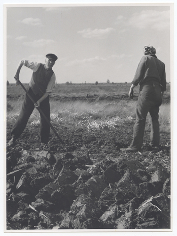 Fotograf: Hickstein, Carmen, Copyright: 1