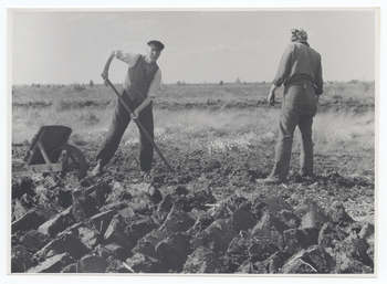 Fotograf: Hickstein, Carmen, Copyright: 1