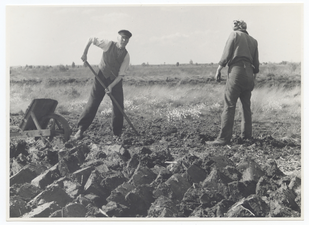 Fotograf: Hickstein, Carmen, Copyright: 1