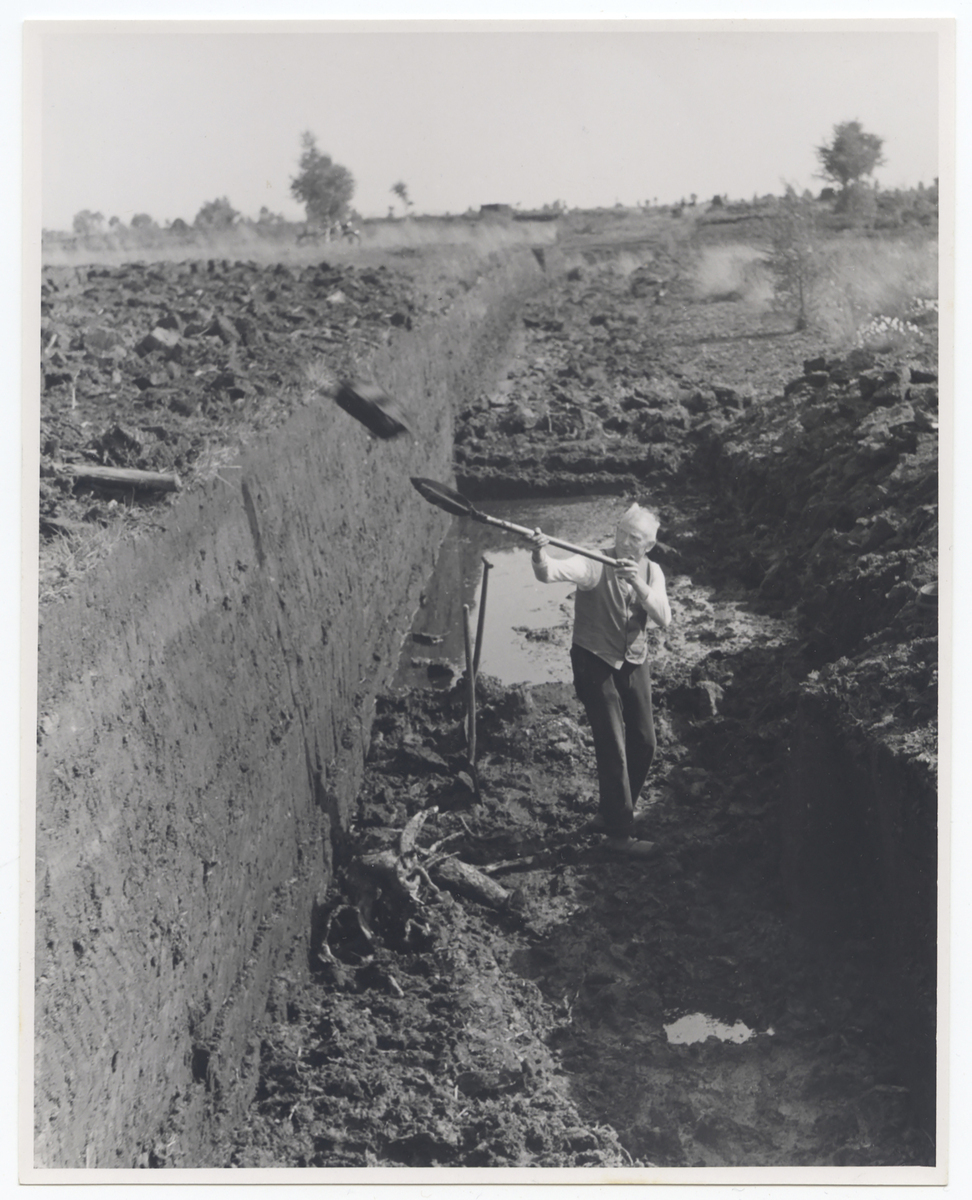 Fotograf: Hickstein, Carmen, Copyright: 1