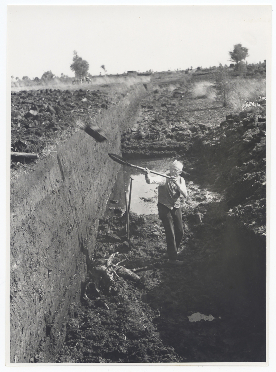 Fotograf: Hickstein, Carmen, Copyright: 1