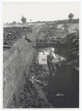 Fotograf: Hickstein, Carmen, Copyright: 1