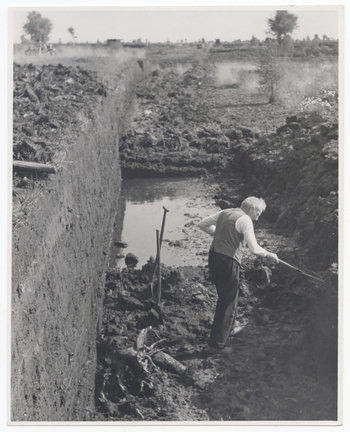 Fotograf: Hickstein, Carmen, Copyright: 1