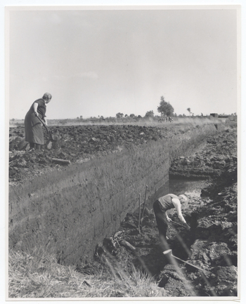 Fotograf: Hickstein, Carmen, Copyright: 1