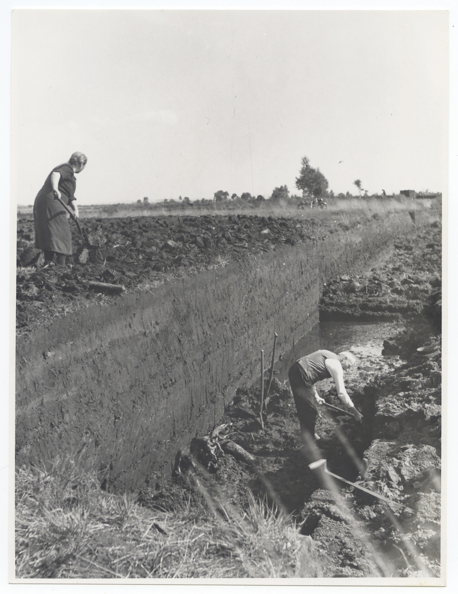 Fotograf: Hickstein, Carmen, Copyright: 1