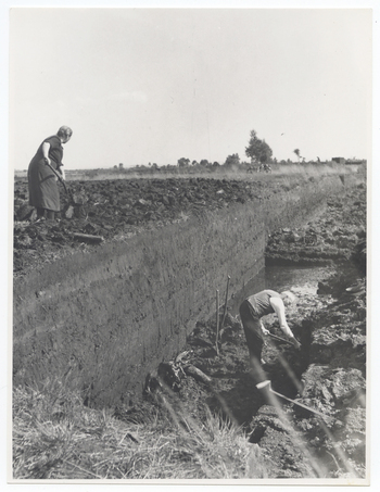 Fotograf: Hickstein, Carmen, Copyright: 1