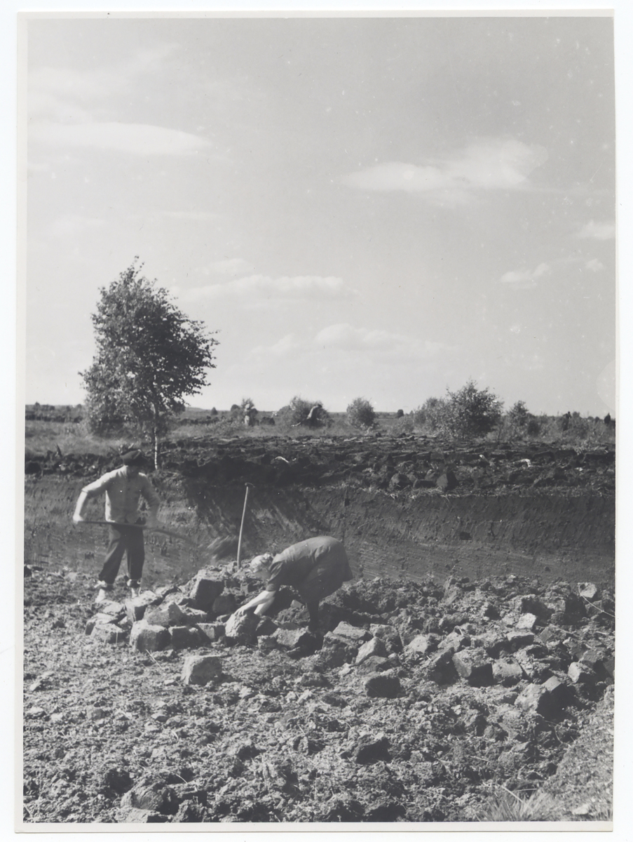 Fotograf: Hickstein, Carmen, Copyright: 1