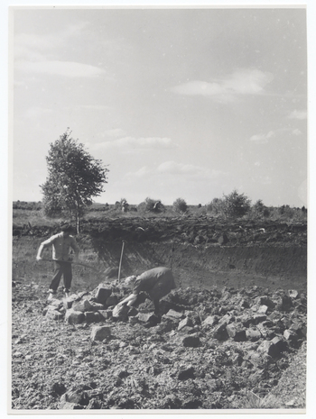 Fotograf: Hickstein, Carmen, Copyright: 1