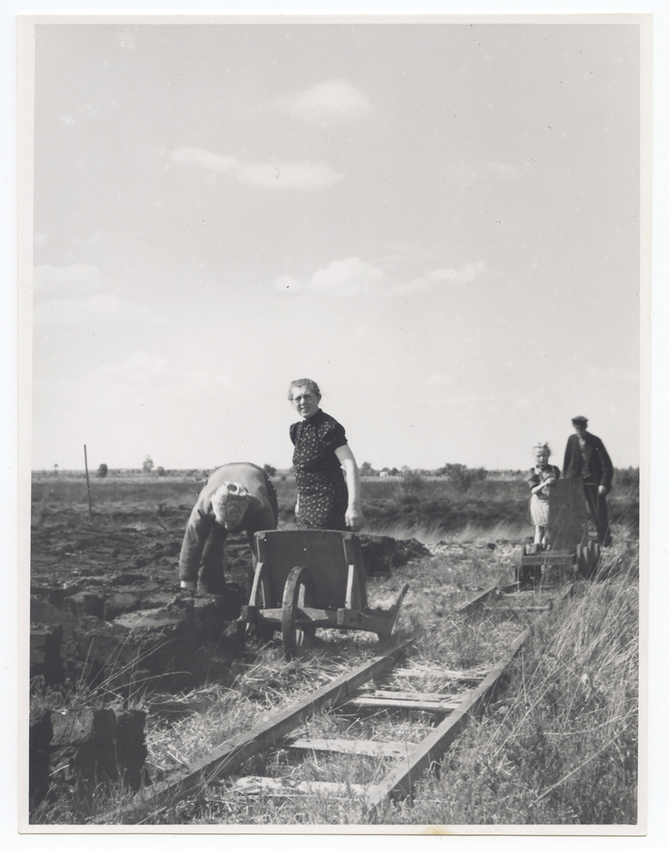 Fotograf: Hickstein, Carmen, Copyright: 1