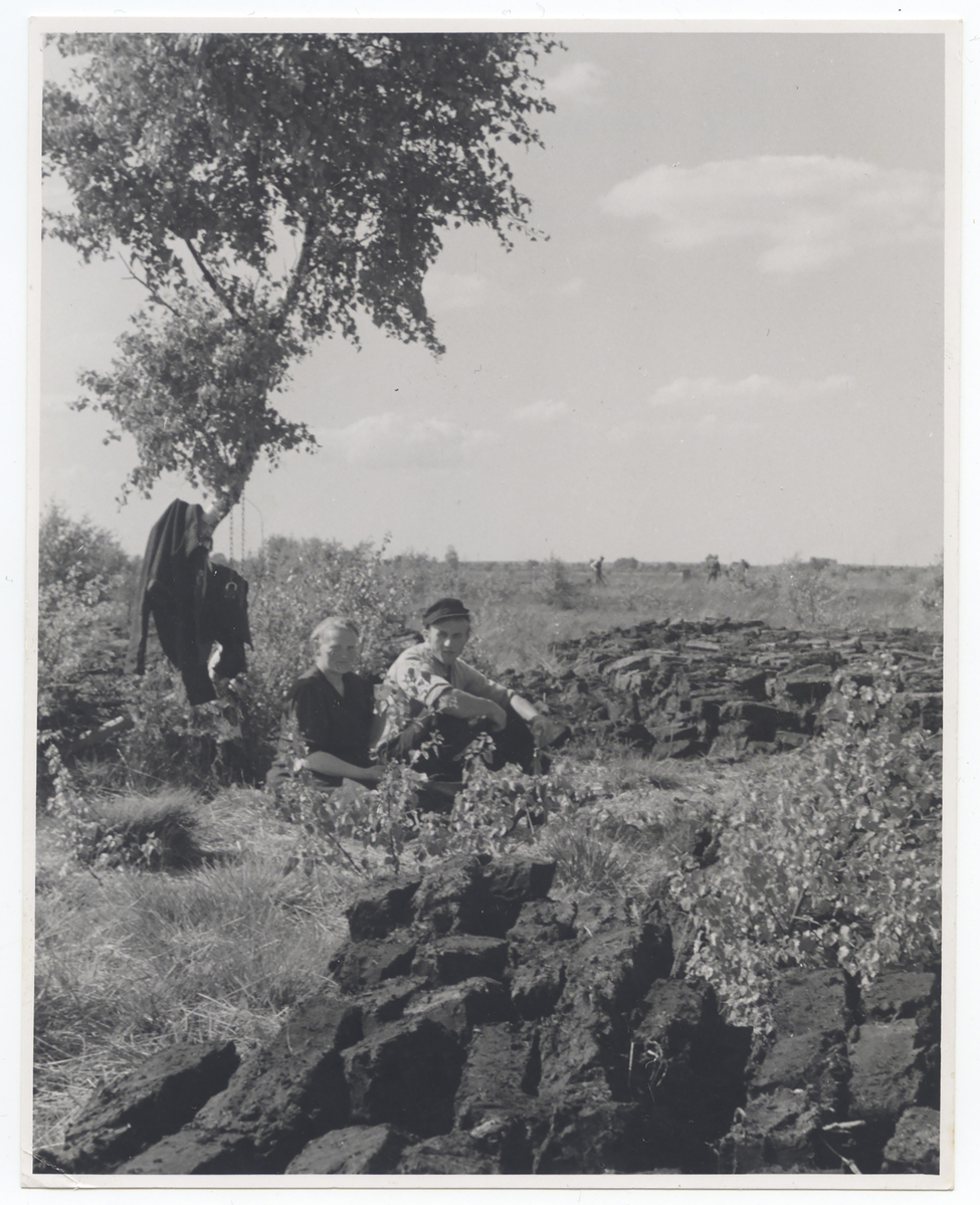 Fotograf: Hickstein, Carmen, Copyright: 1