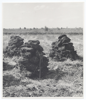 Fotograf: Hickstein, Carmen, Copyright: 1