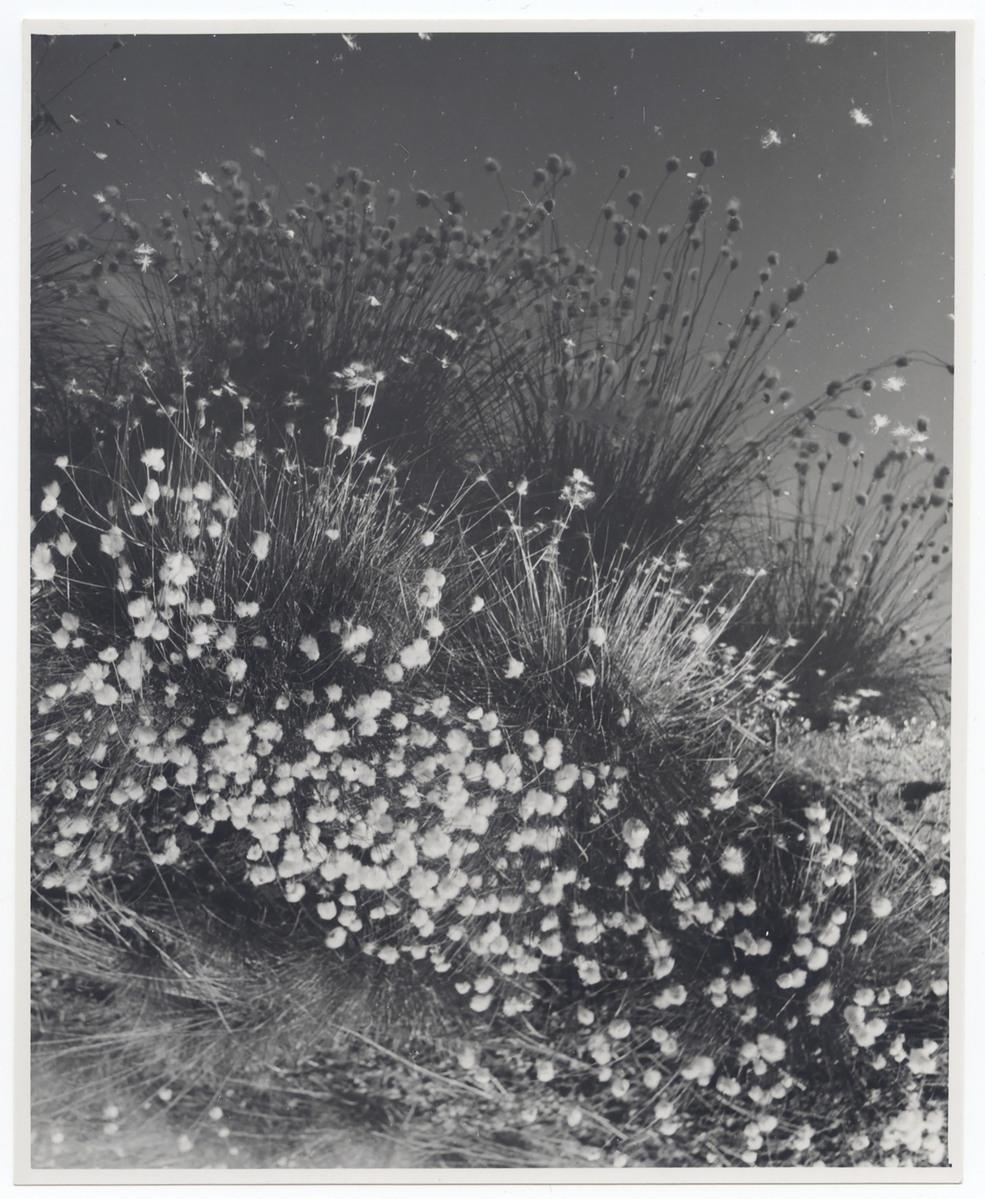 Fotograf: Hickstein, Carmen, Copyright: 1