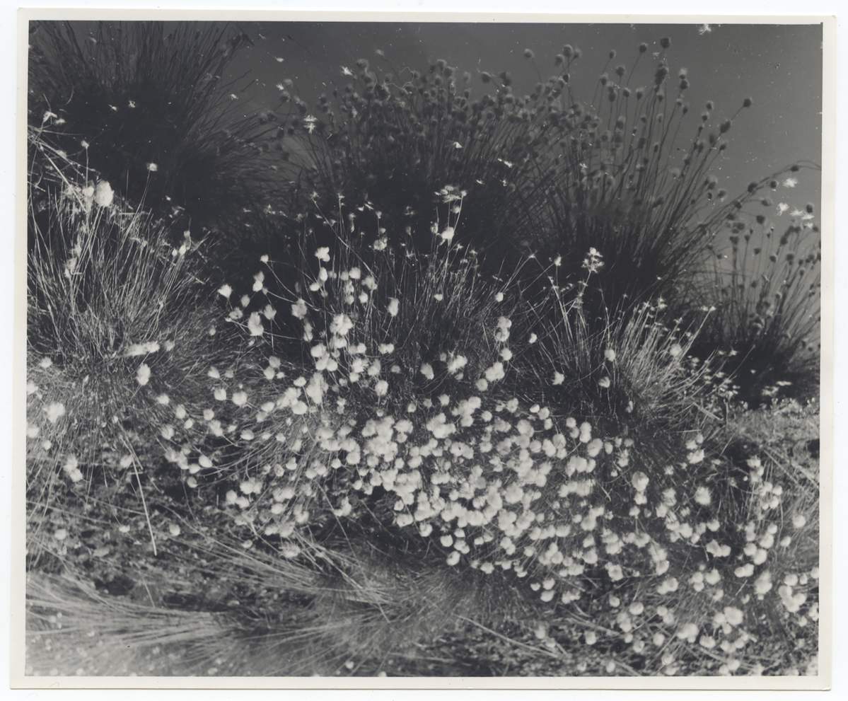 Fotograf: Hickstein, Carmen, Copyright: 1