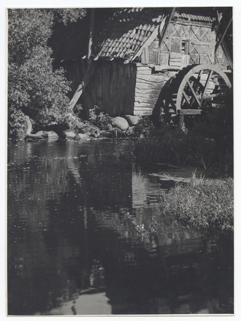 Fotograf: Hickstein, Carmen, Copyright: 1