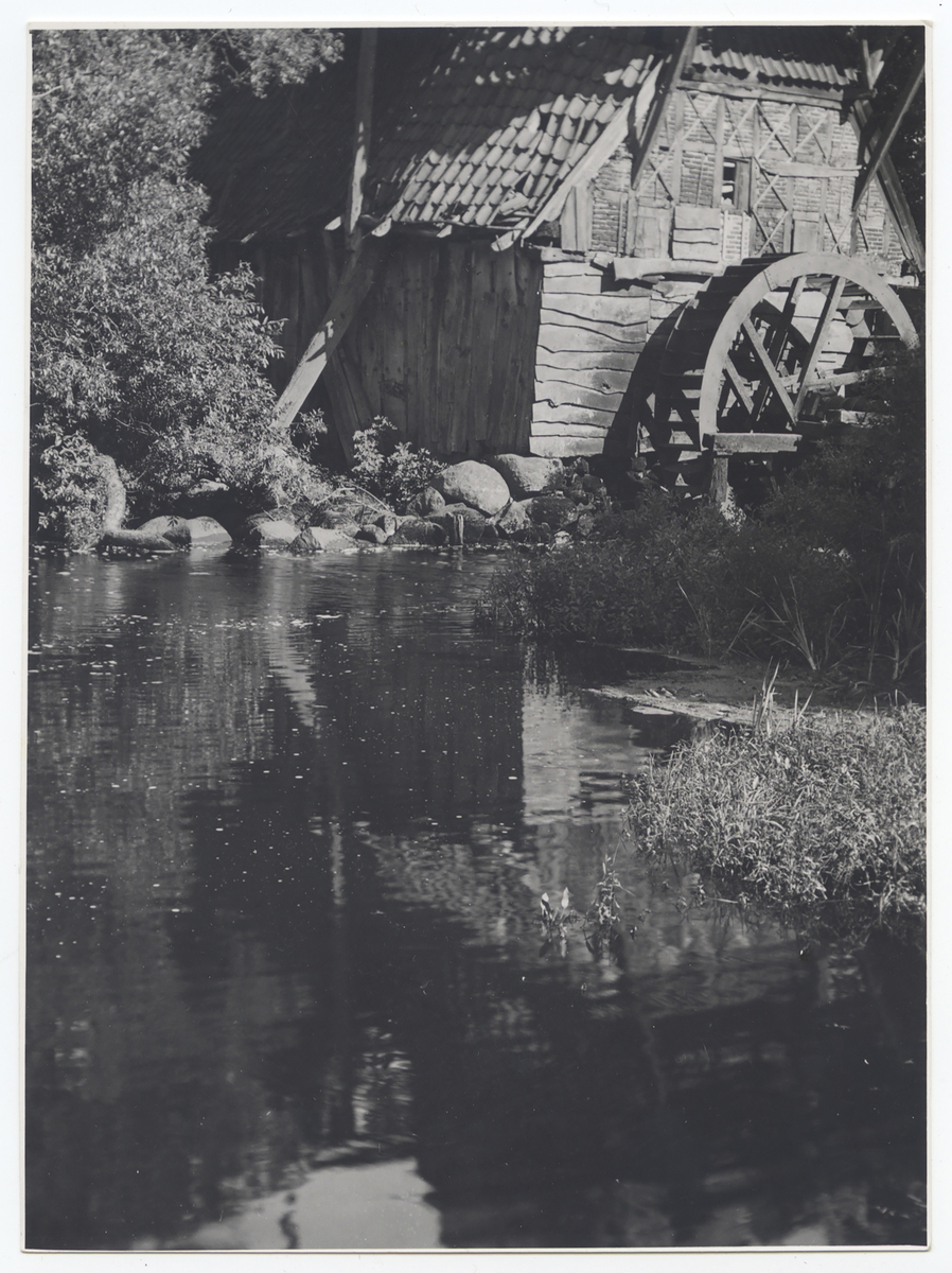 Fotograf: Hickstein, Carmen, Copyright: 1