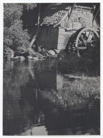 Fotograf: Hickstein, Carmen, Copyright: 1