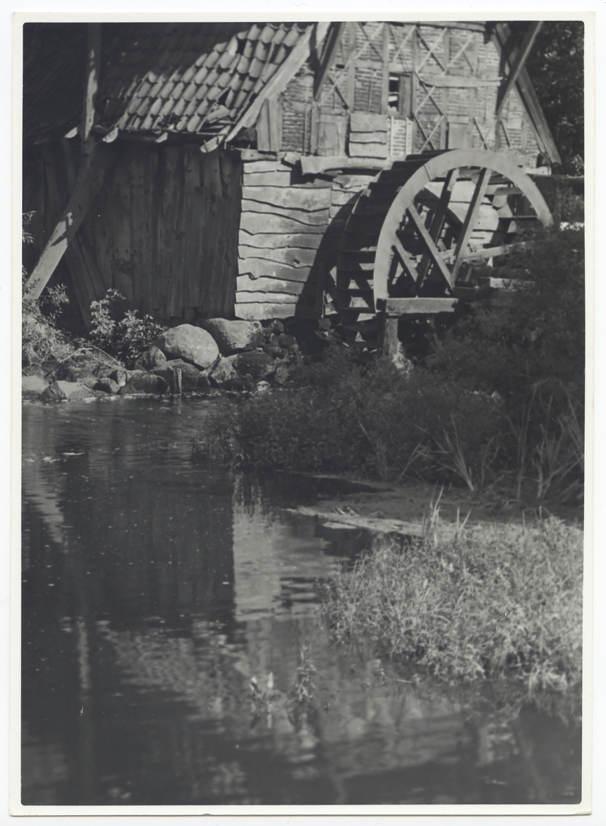 Fotograf: Hickstein, Carmen, Copyright: 1