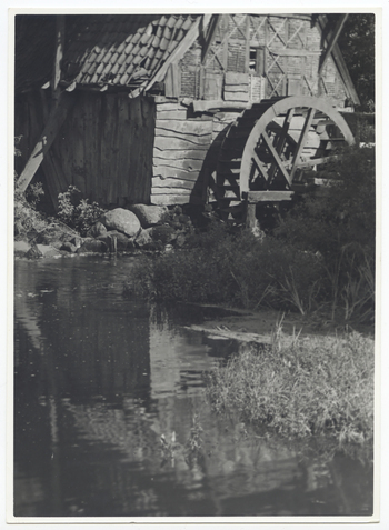 Fotograf: Hickstein, Carmen, Copyright: 1