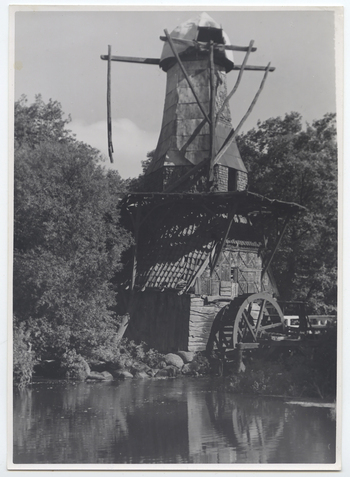 Fotograf: Hickstein, Carmen, Copyright: 1