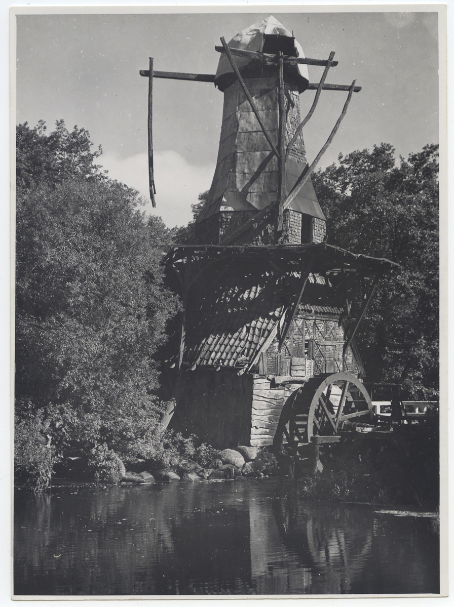 Fotograf: Hickstein, Carmen, Copyright: 1