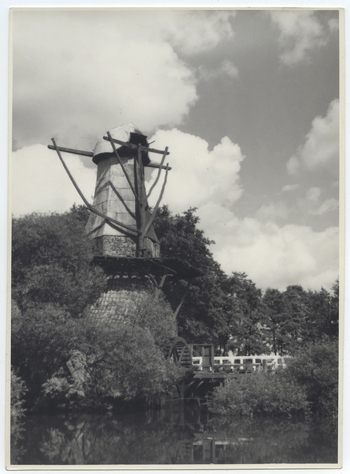 Photographer: Hickstein, Carmen, Copyright: 1