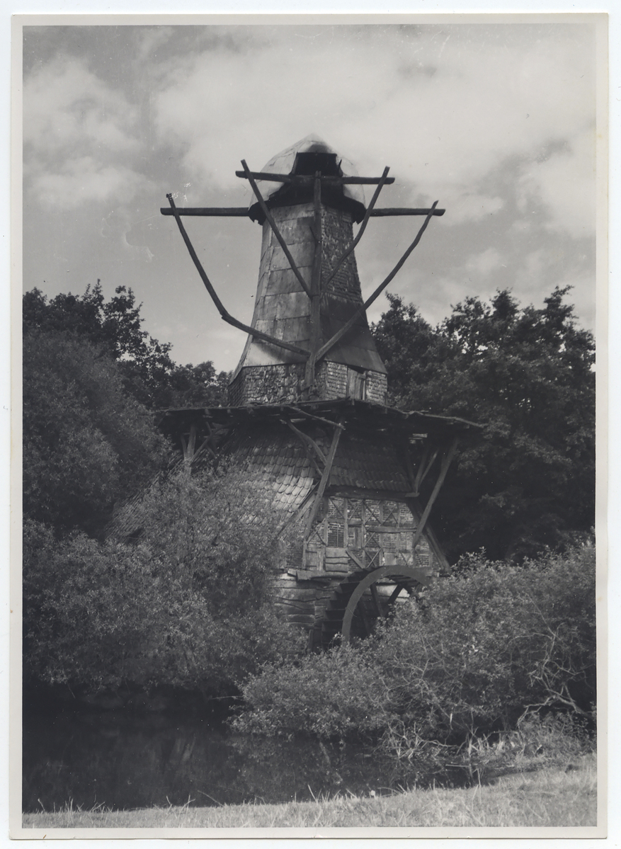 Fotograf: Hickstein, Carmen, Copyright: 1