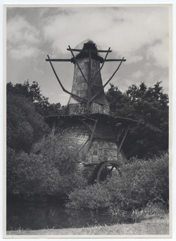 Fotograf: Hickstein, Carmen, Copyright: 1