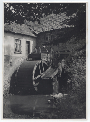 Fotograf: Hickstein, Carmen, Copyright: 1