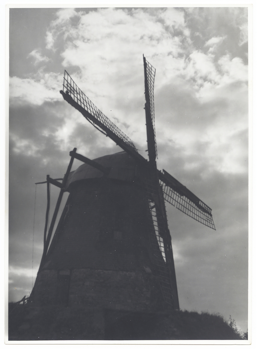 Fotograf: Hickstein, Carmen, Copyright: 1