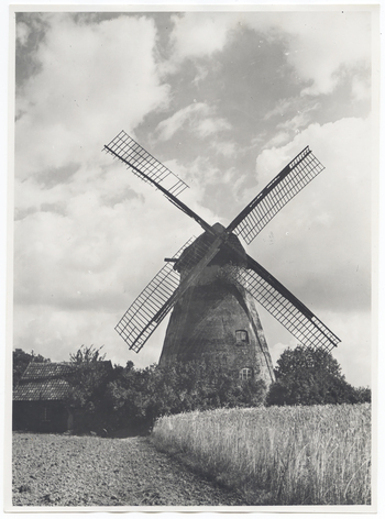 Fotograf: Hickstein, Carmen, Copyright: 1