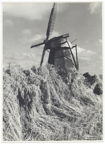 Fotograf: Hickstein, Carmen, Copyright: 1