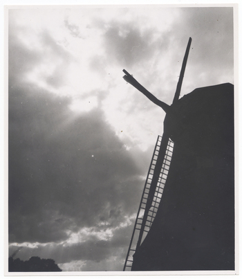 Fotograf: Hickstein, Carmen, Copyright: 1