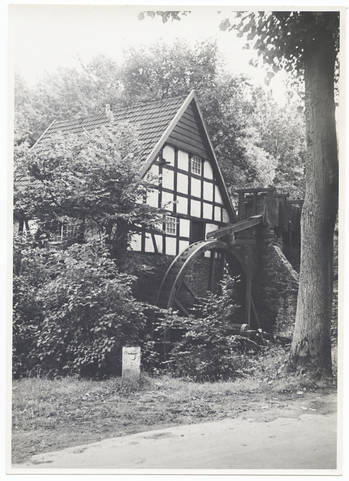 Photographer: Hickstein, Carmen, Copyright: 1