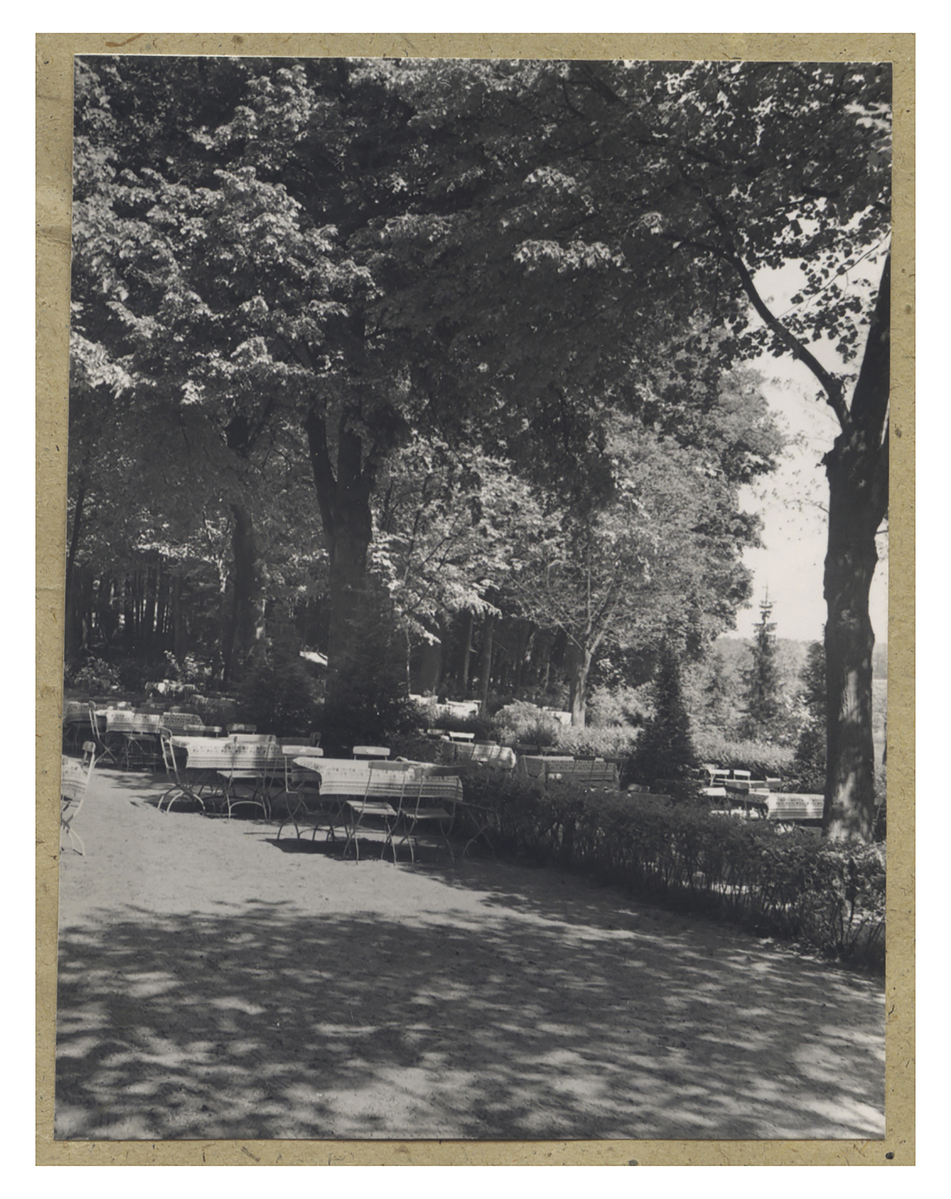 Fotograf: Hickstein, Carmen, Copyright: 1