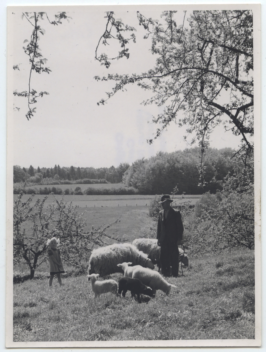 Fotograf: Hickstein, Carmen, Copyright: 1