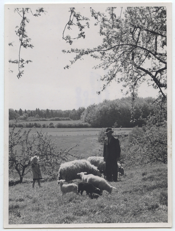 Fotograf: Hickstein, Carmen, Copyright: 1