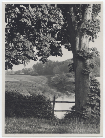 Fotograf: Hickstein, Carmen, Copyright: 1