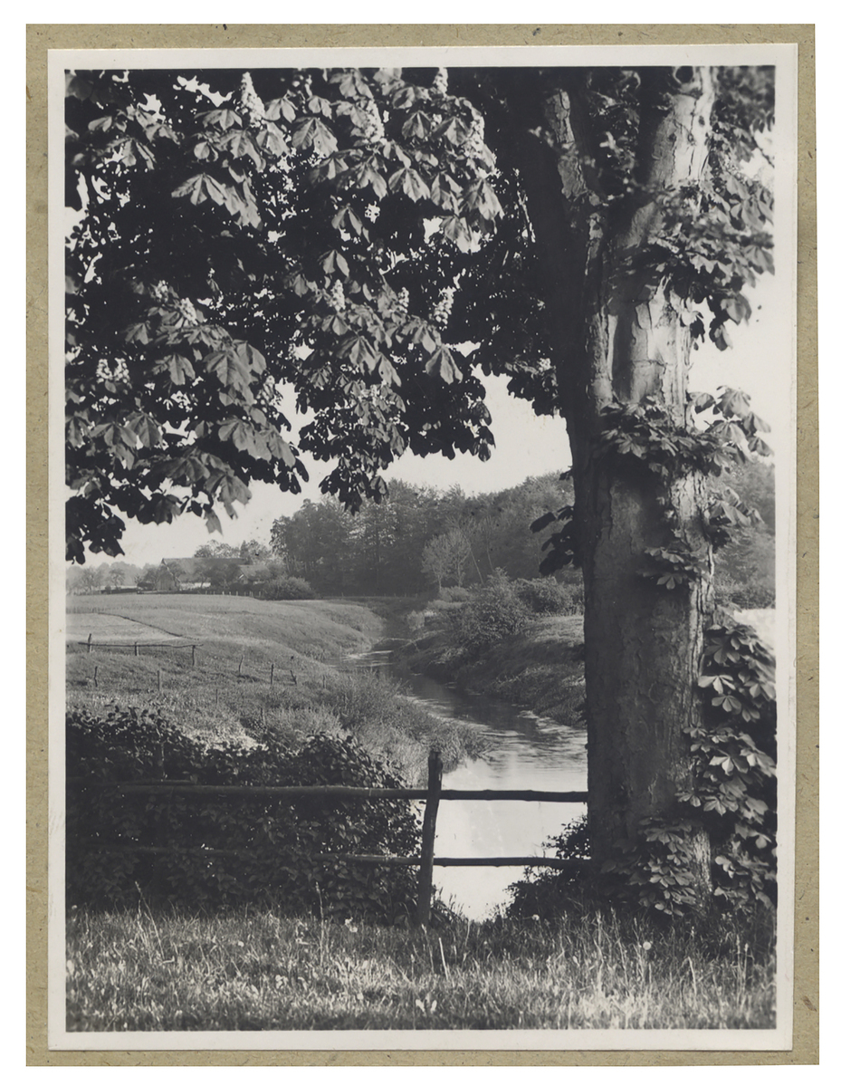 Fotograf: Hickstein, Carmen, Copyright: 1