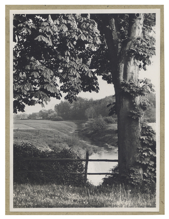 Fotograf: Hickstein, Carmen, Copyright: 1