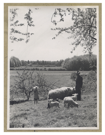 Fotograf: Hickstein, Carmen, Copyright: 1