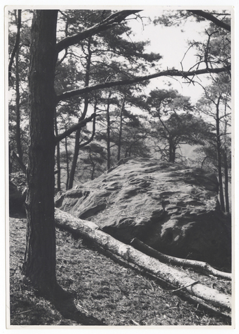 Fotograf: Hickstein, Carmen, Copyright: 1
