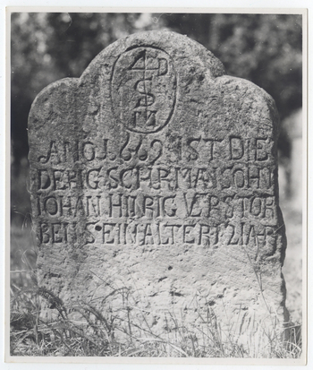 Fotograf: Hickstein, Carmen, Copyright: 1